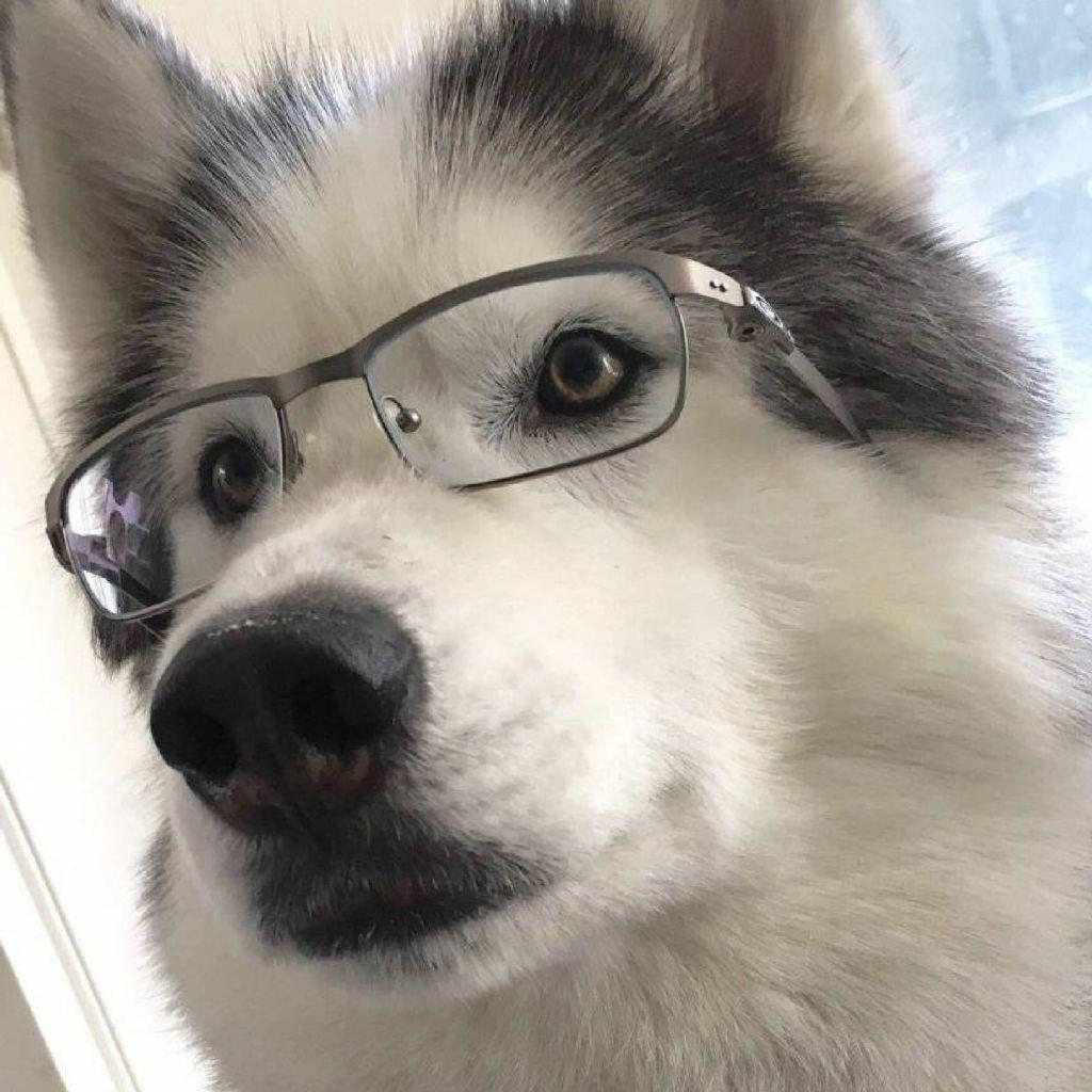 多多优选