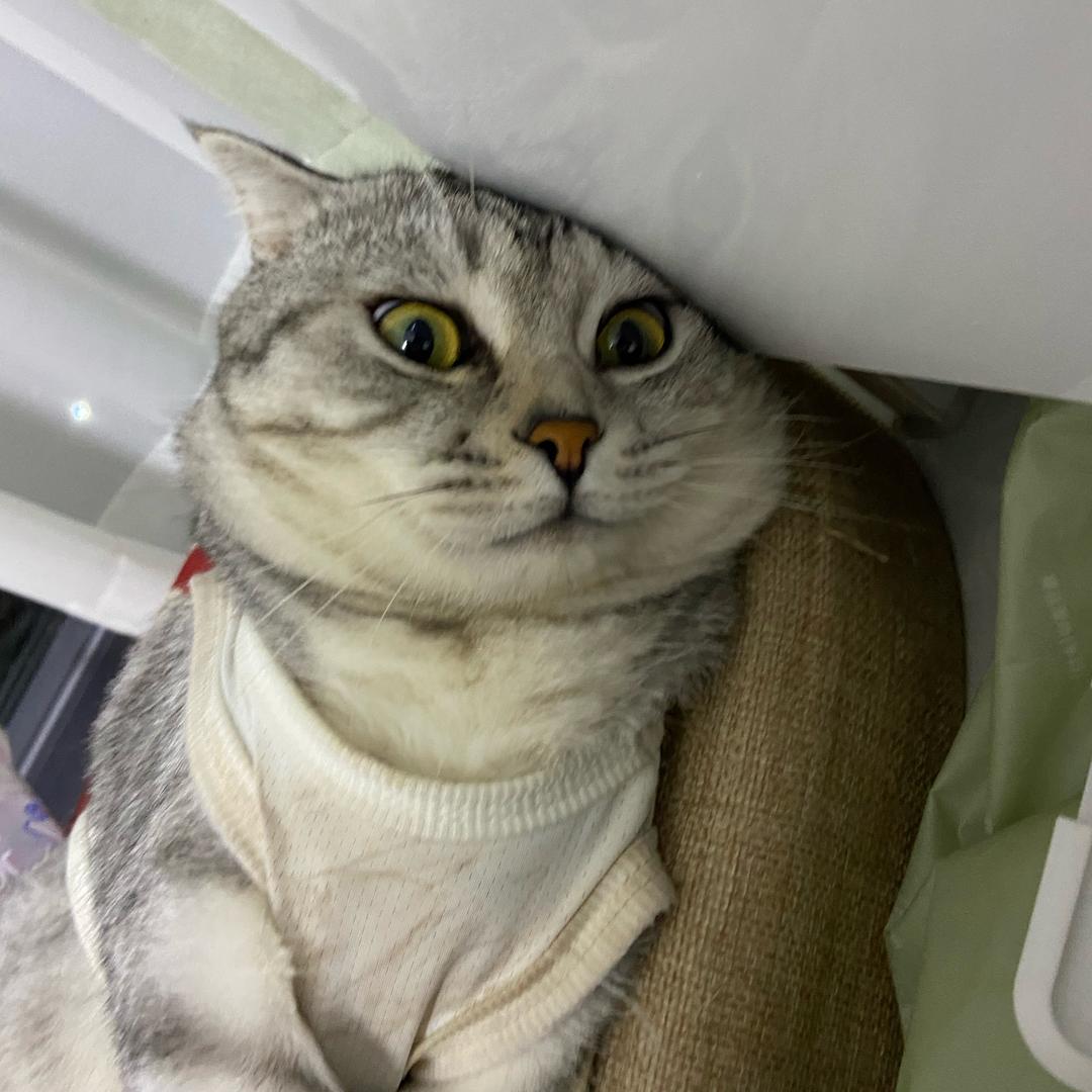 喜欢汤圆的第一天