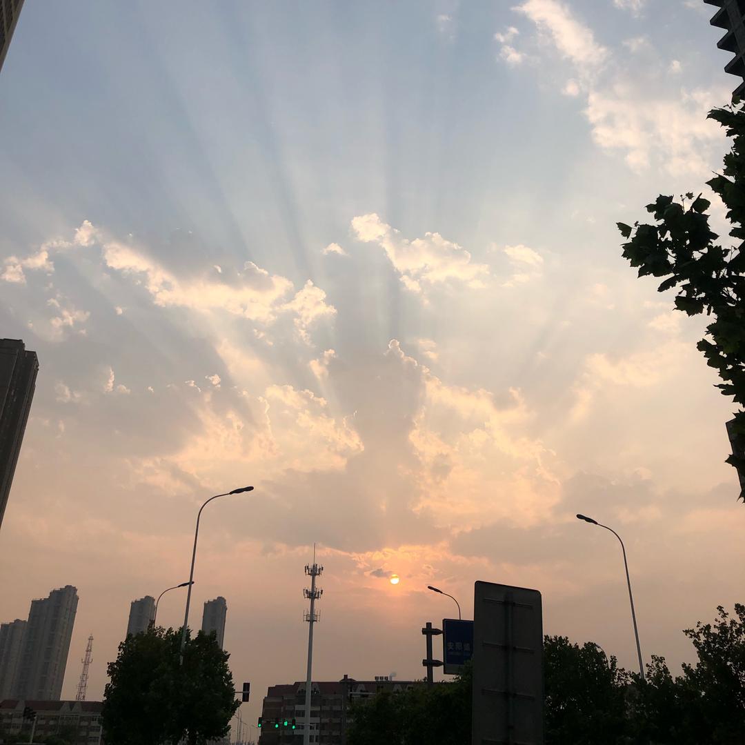 陪你干饭