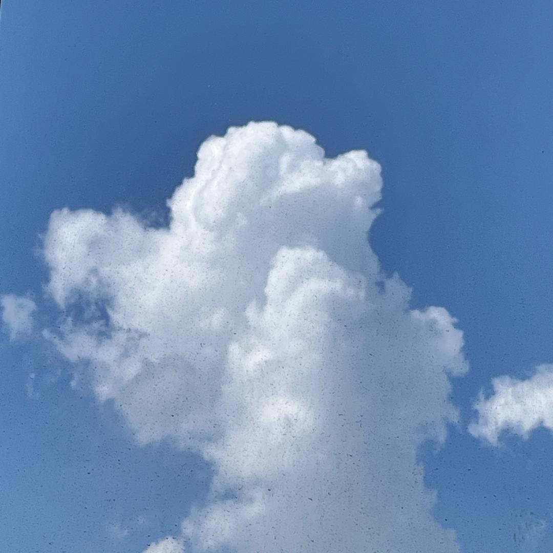 虞城县铭纪食品有限公司李李