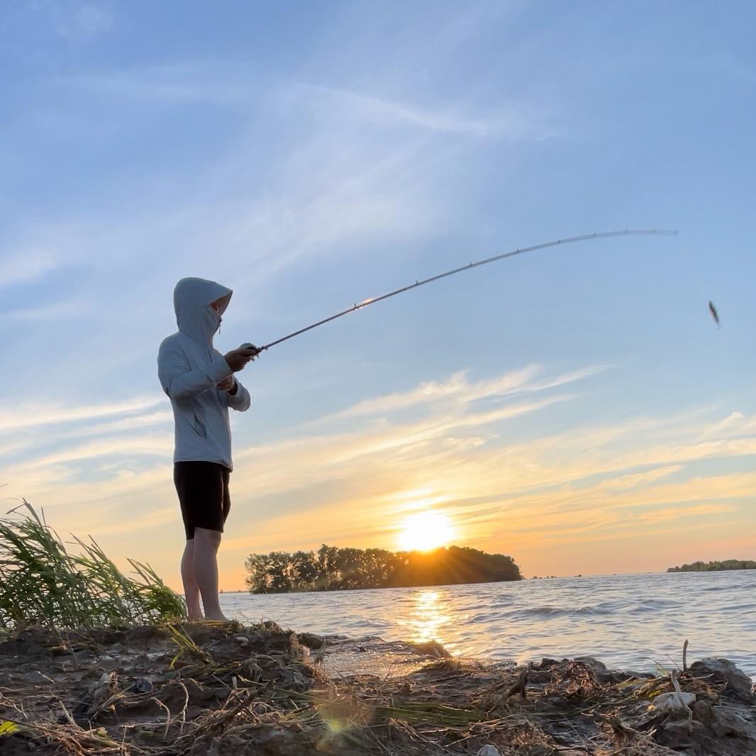 掠影Lure《实习生》