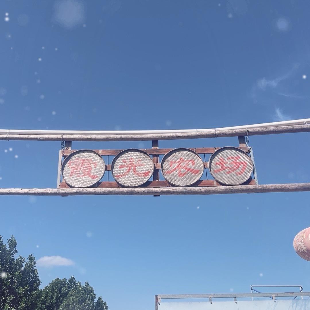 霞光农场