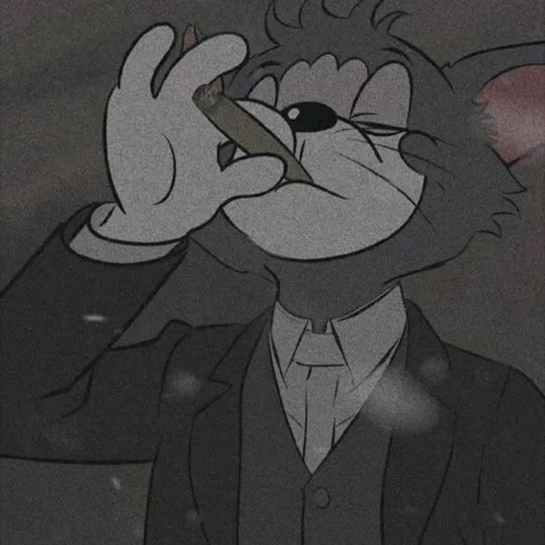 Tom🐈