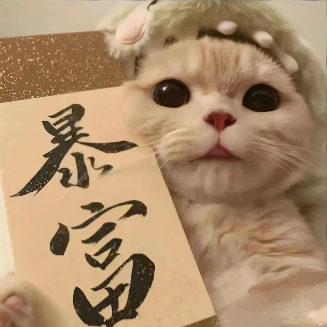 浮尘@
