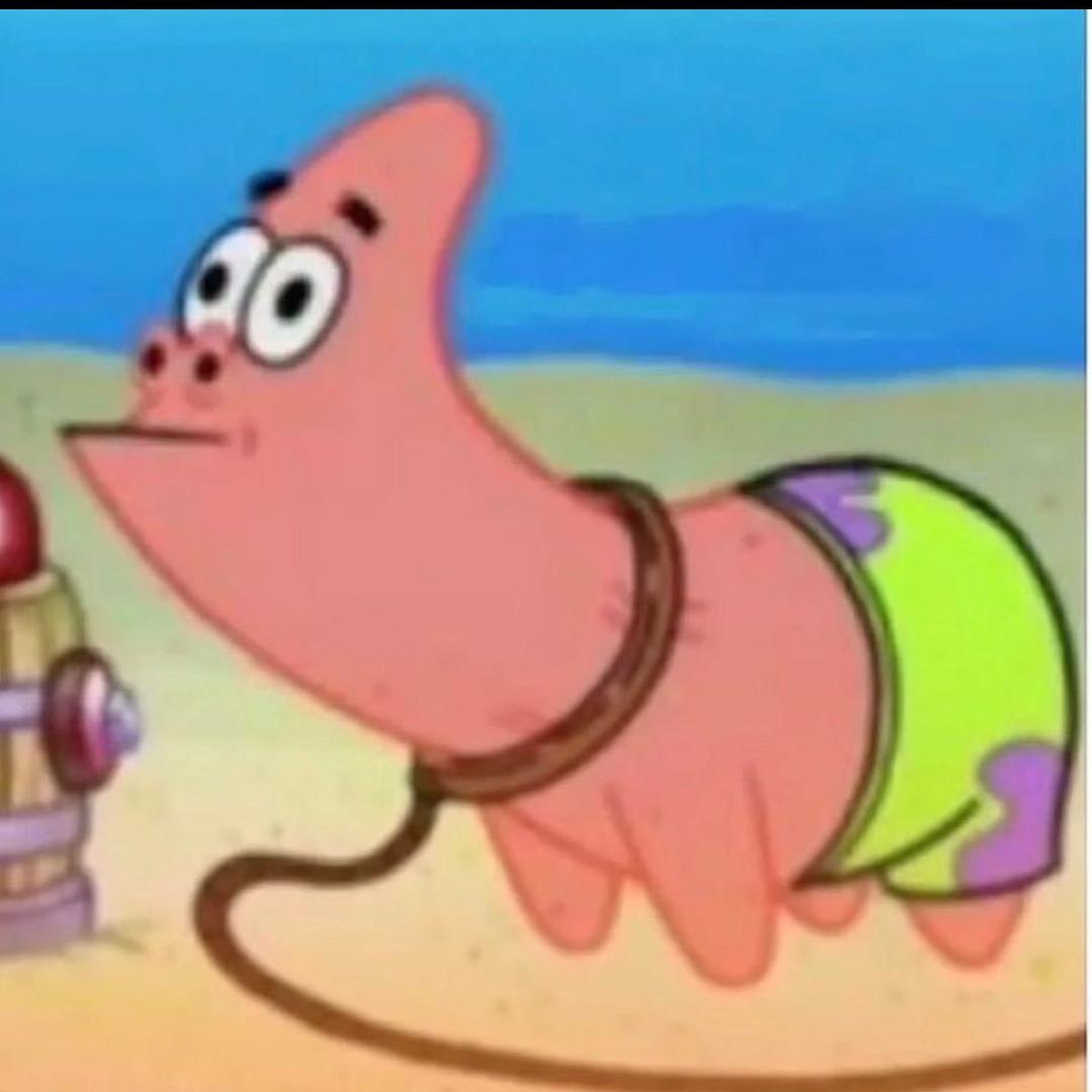 海🐷