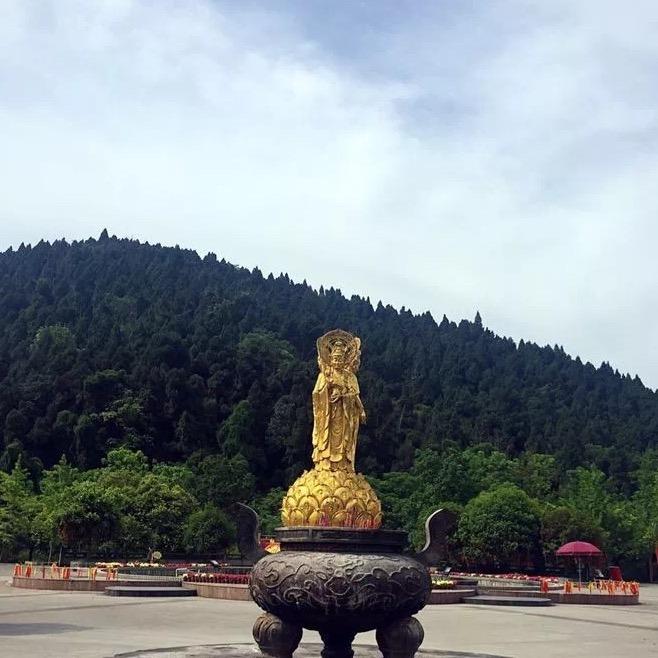 🐘格格🐘
