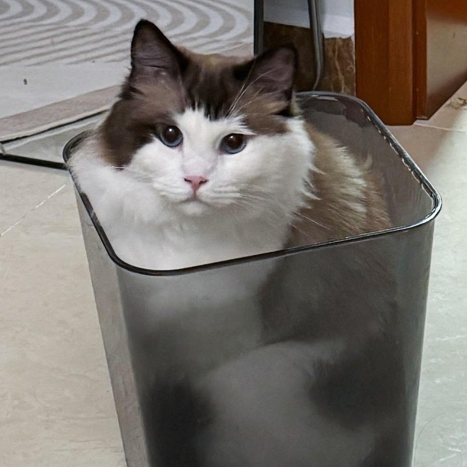 何瑶不是何小鱼