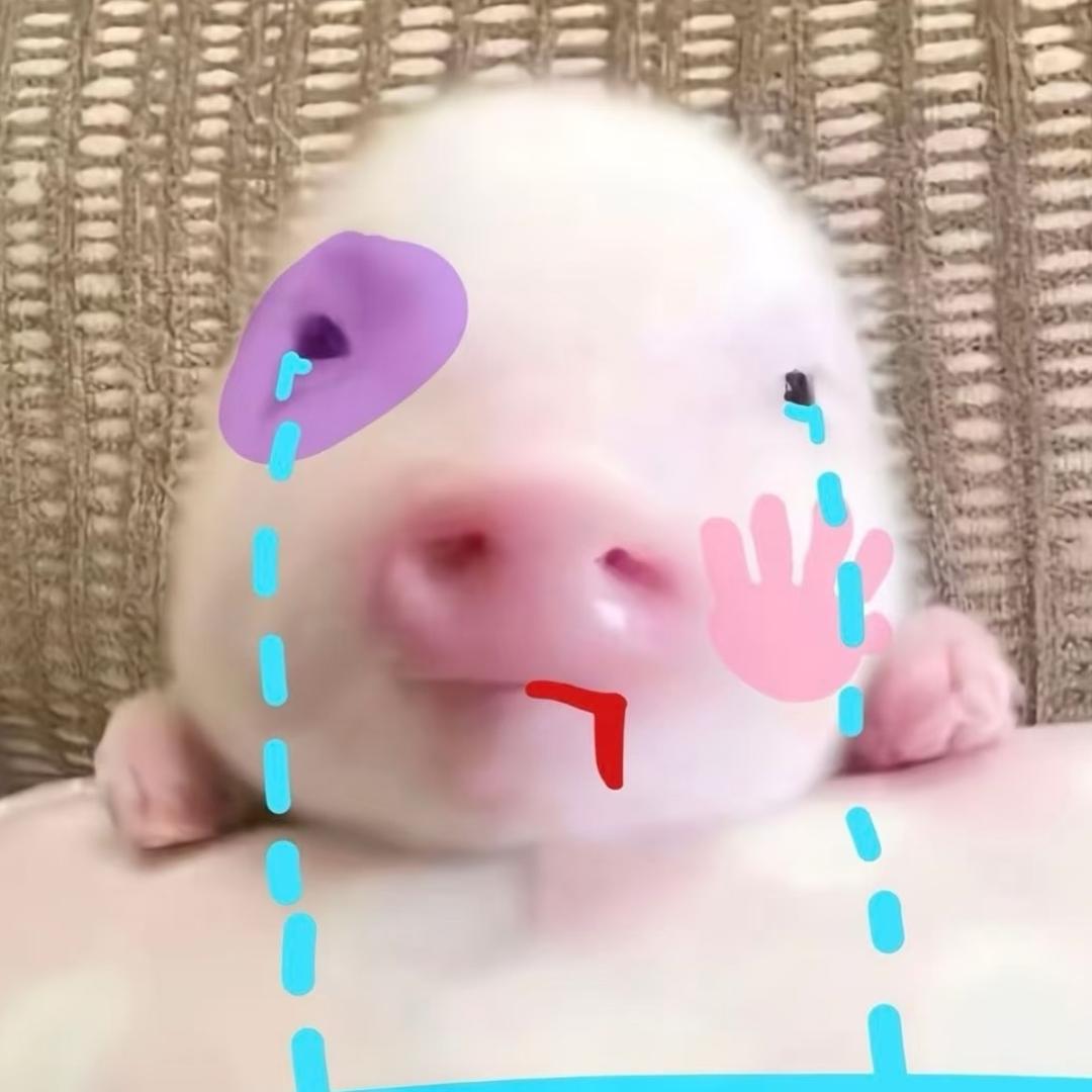 总而言之你很可爱