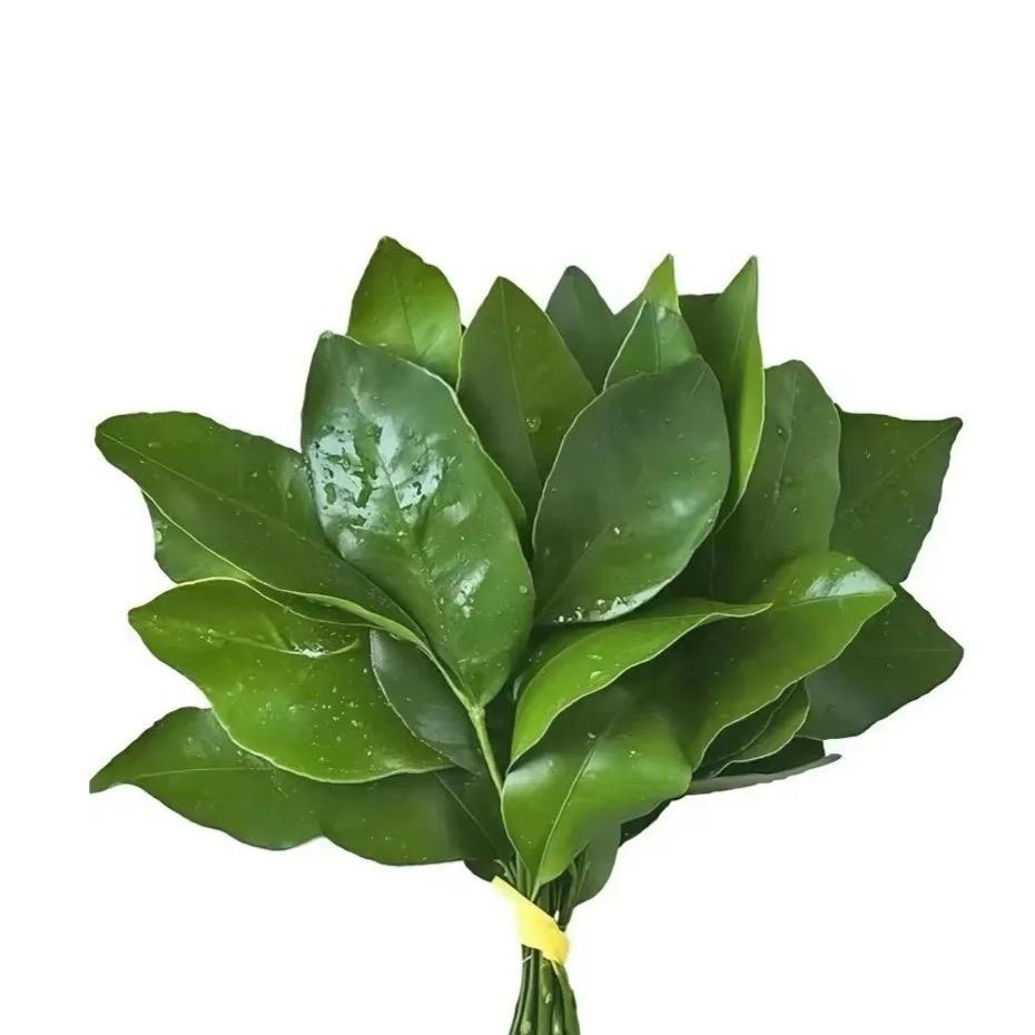 周姐姐