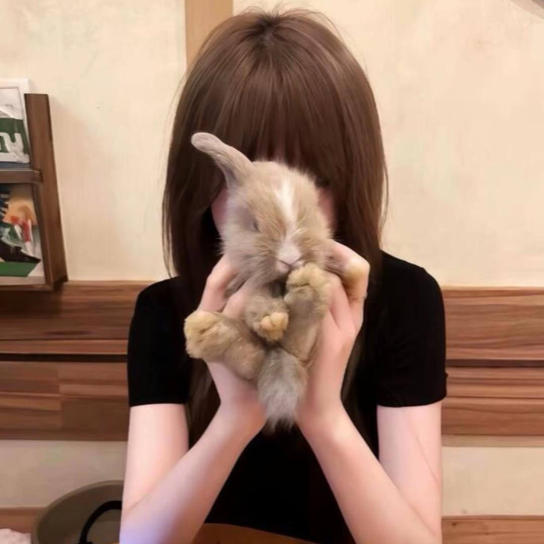 晚安。