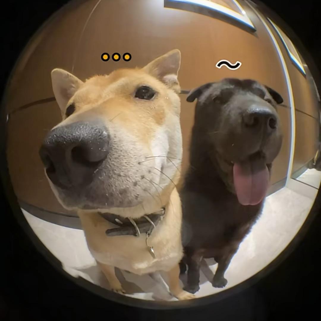 来财。