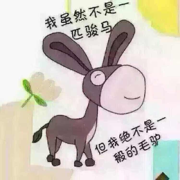 李淘淘