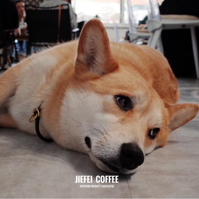 NOTHING Punk Coffe