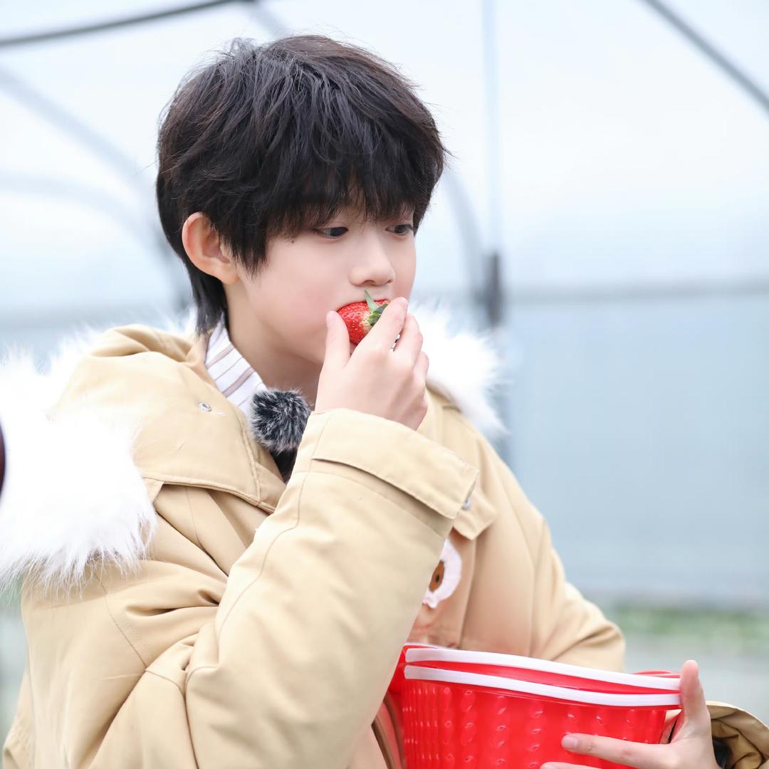 吃掉一只小哼哼