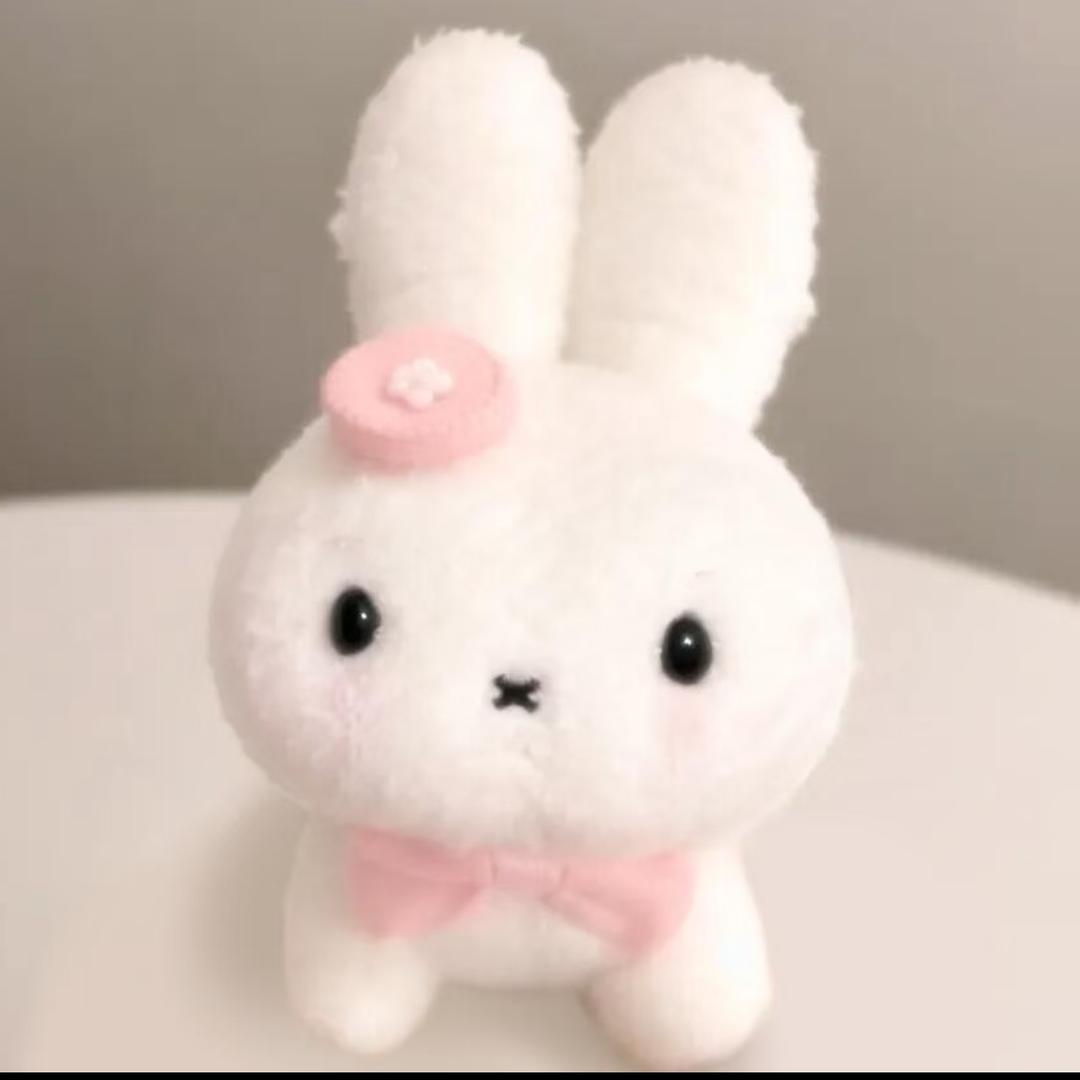 Dami /•᷅•᷄\୭