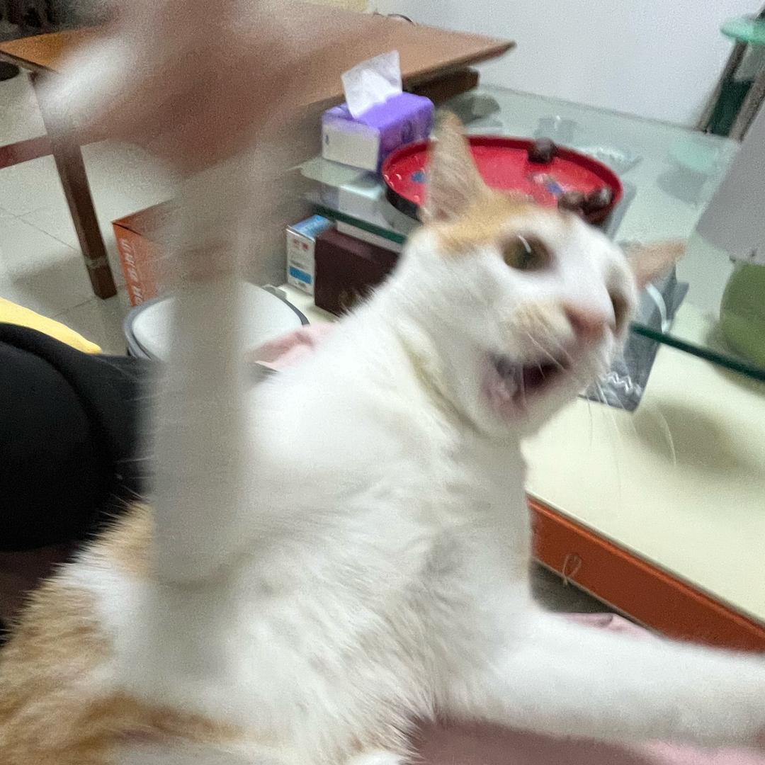发财会发