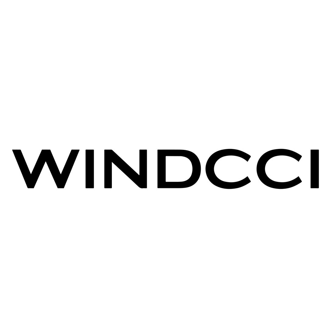 WINDCCI企业店
