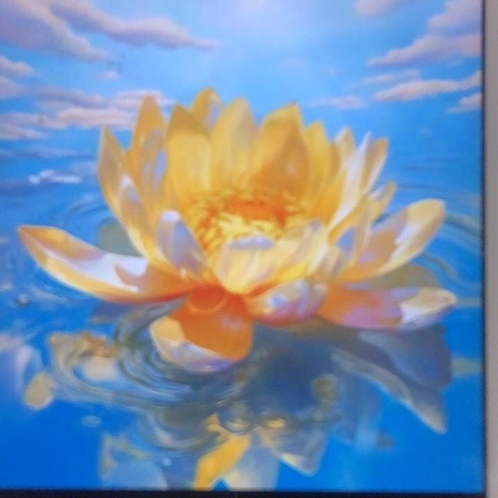 娇娇