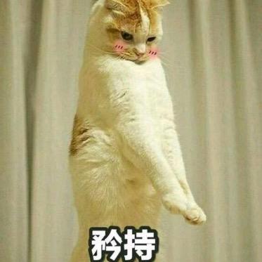 你的廖大哥、