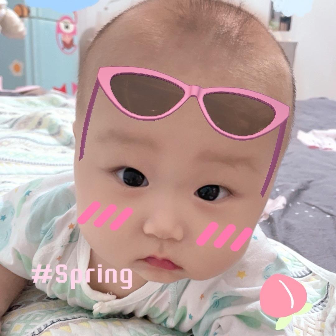 ✨呆呆✨