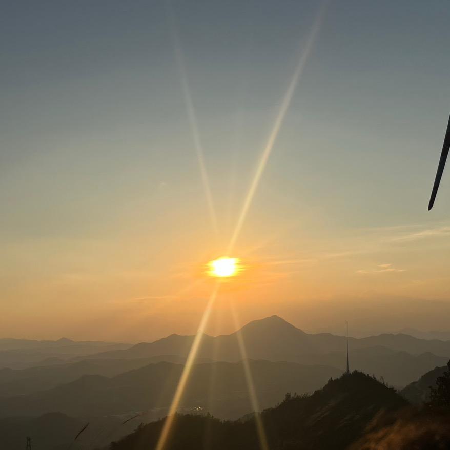 鹅不鸡到神马名子好