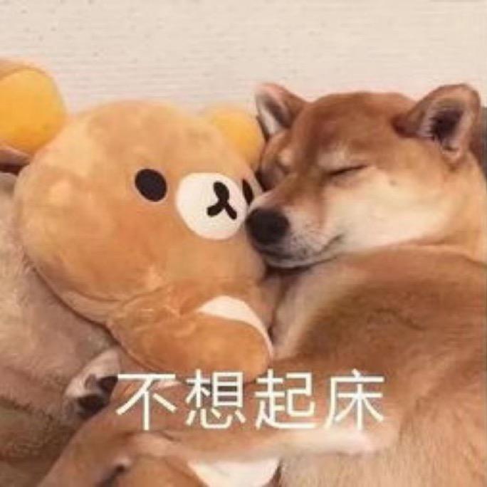 xdddd