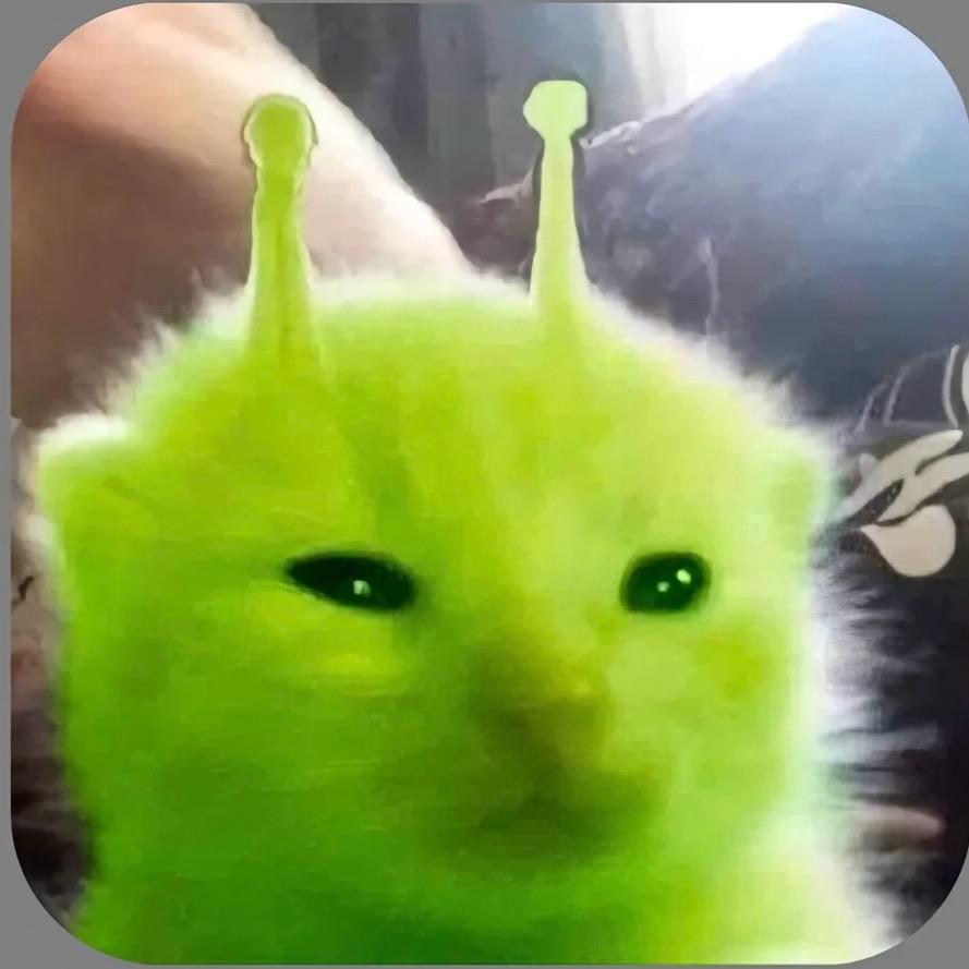 外星猫meme