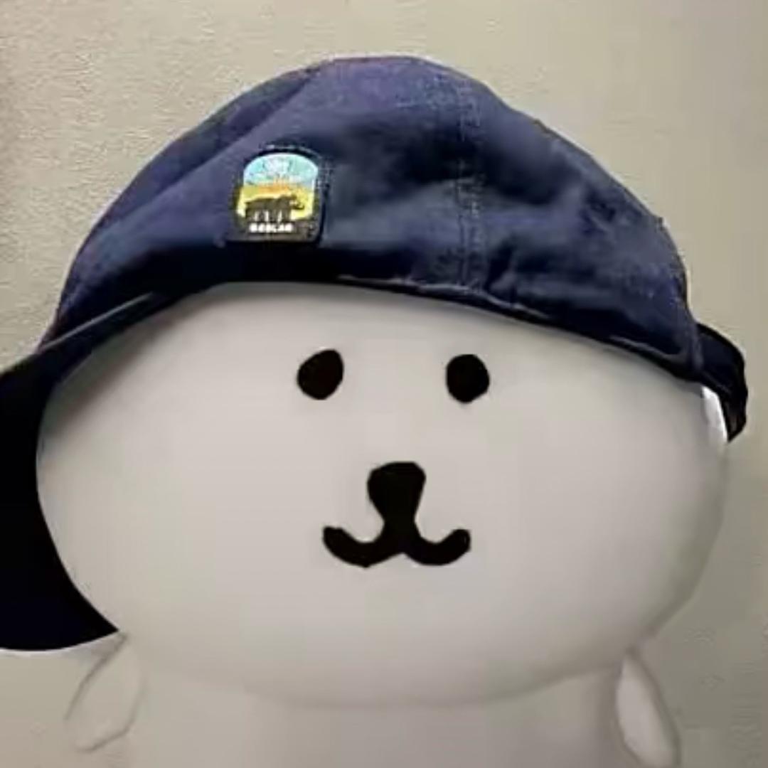 是缘总会圆