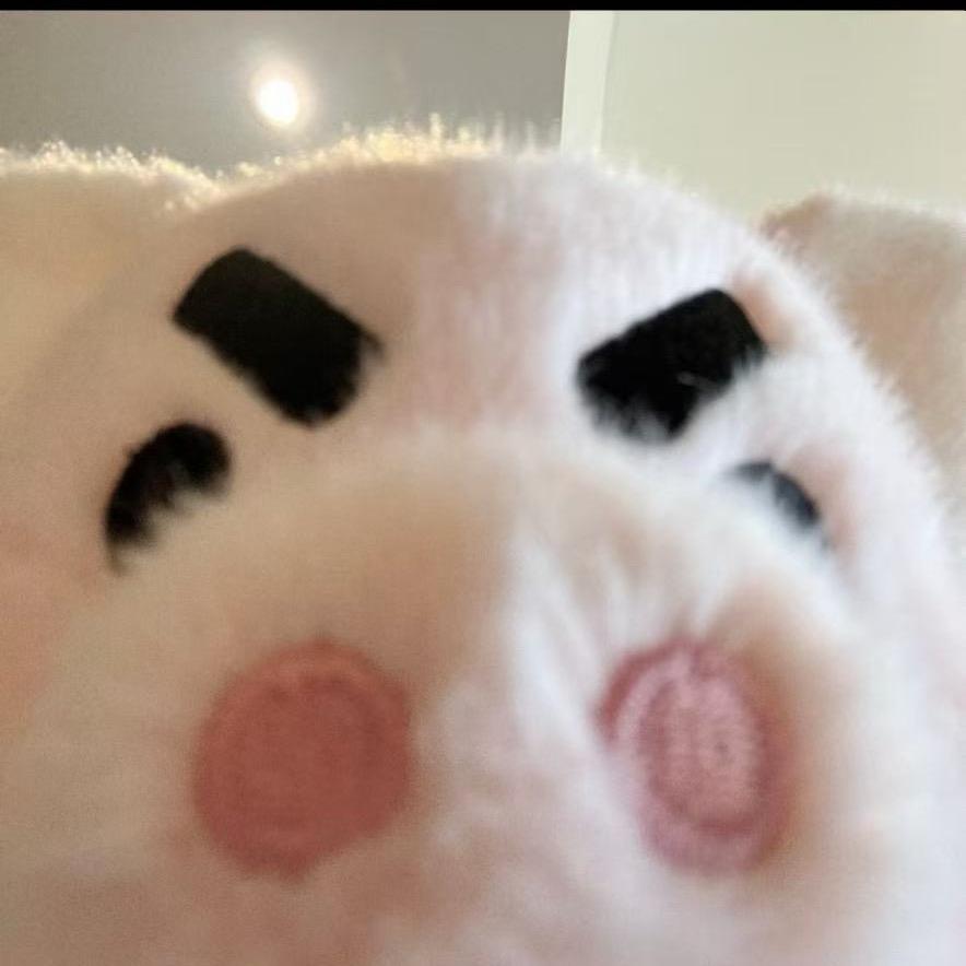 我家🐶会扫地
