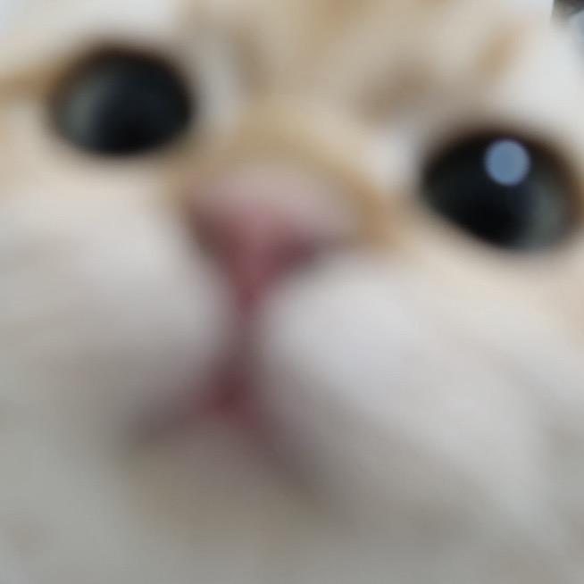 崽崽别闹