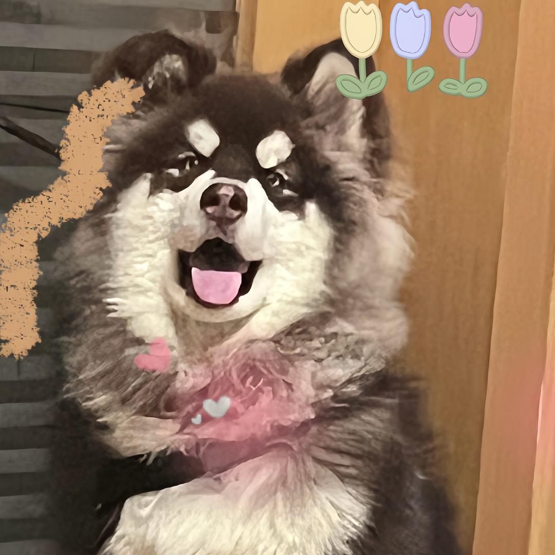 超级无敌361度无死角暴力美女