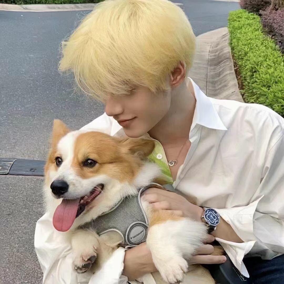 王者双系统代陪