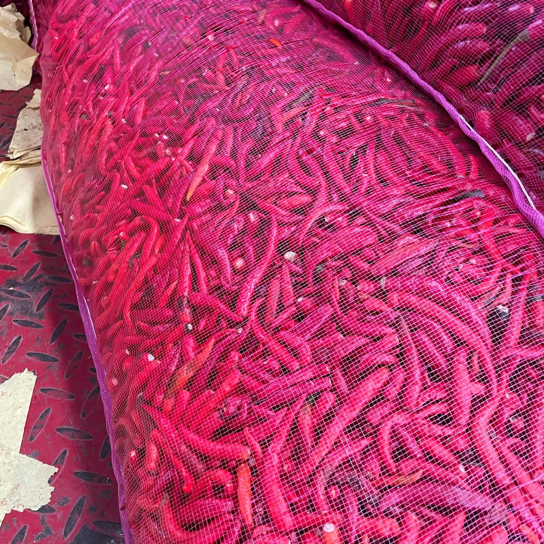 陈东杰