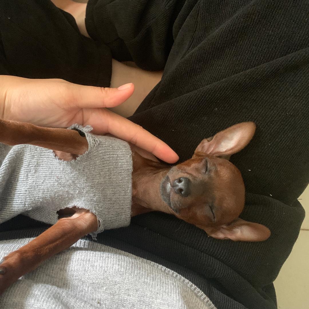 小淘气❤️❤️❤️