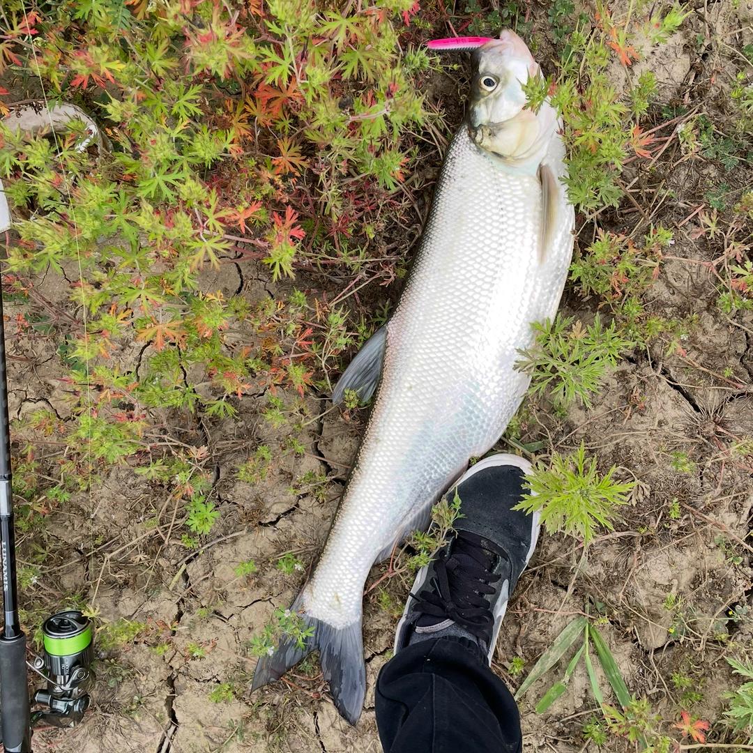 穿着半叉打早口🎣