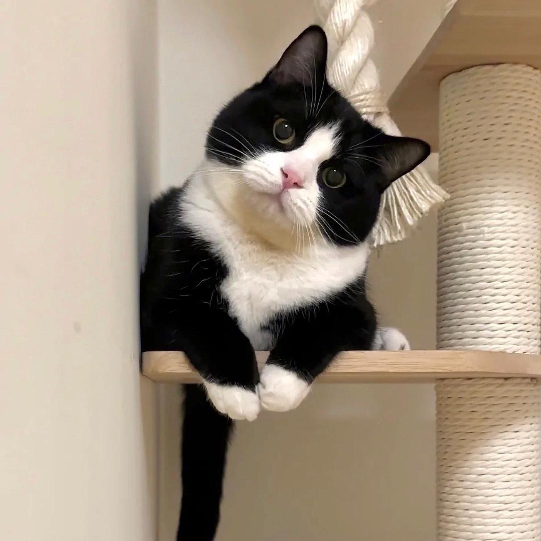 夏日来信📨（努力版）