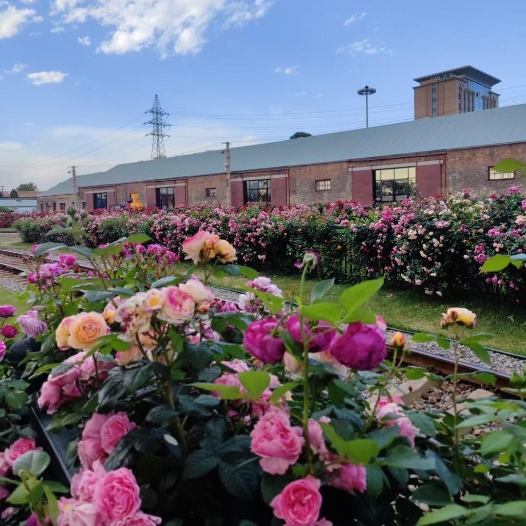 上海晟宸房地产经纪有限公司