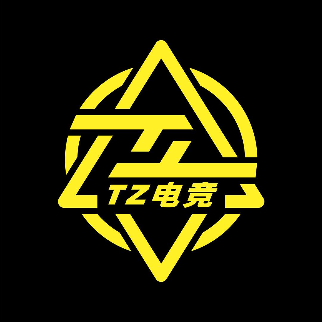 TZ私人电竞