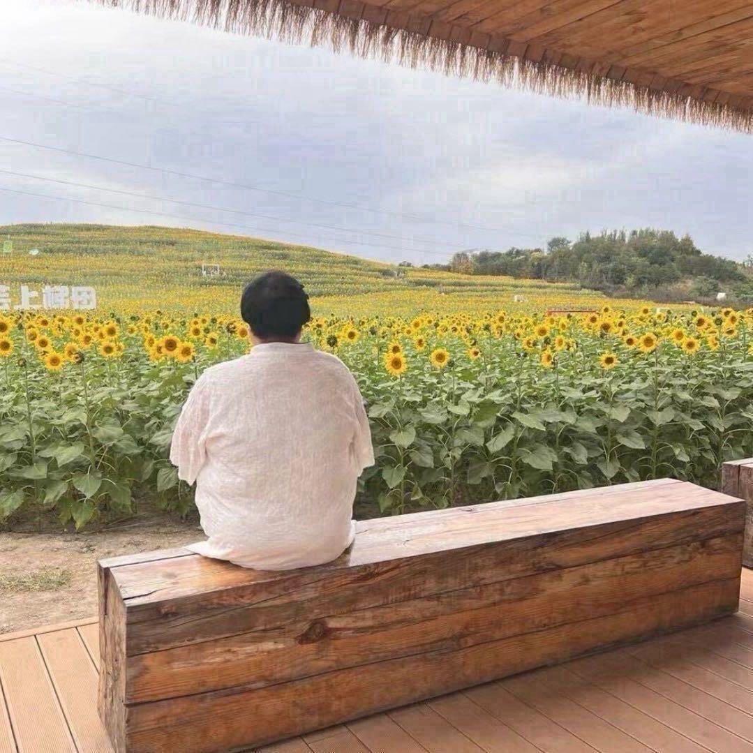 四喜丸子