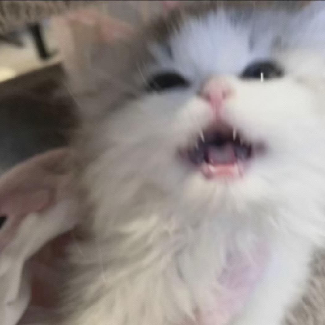 迷雾