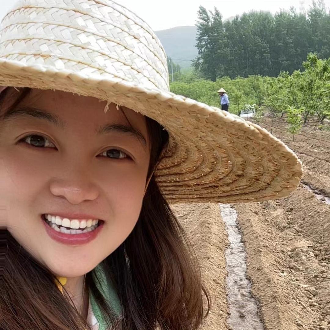 沂蒙山雪莲