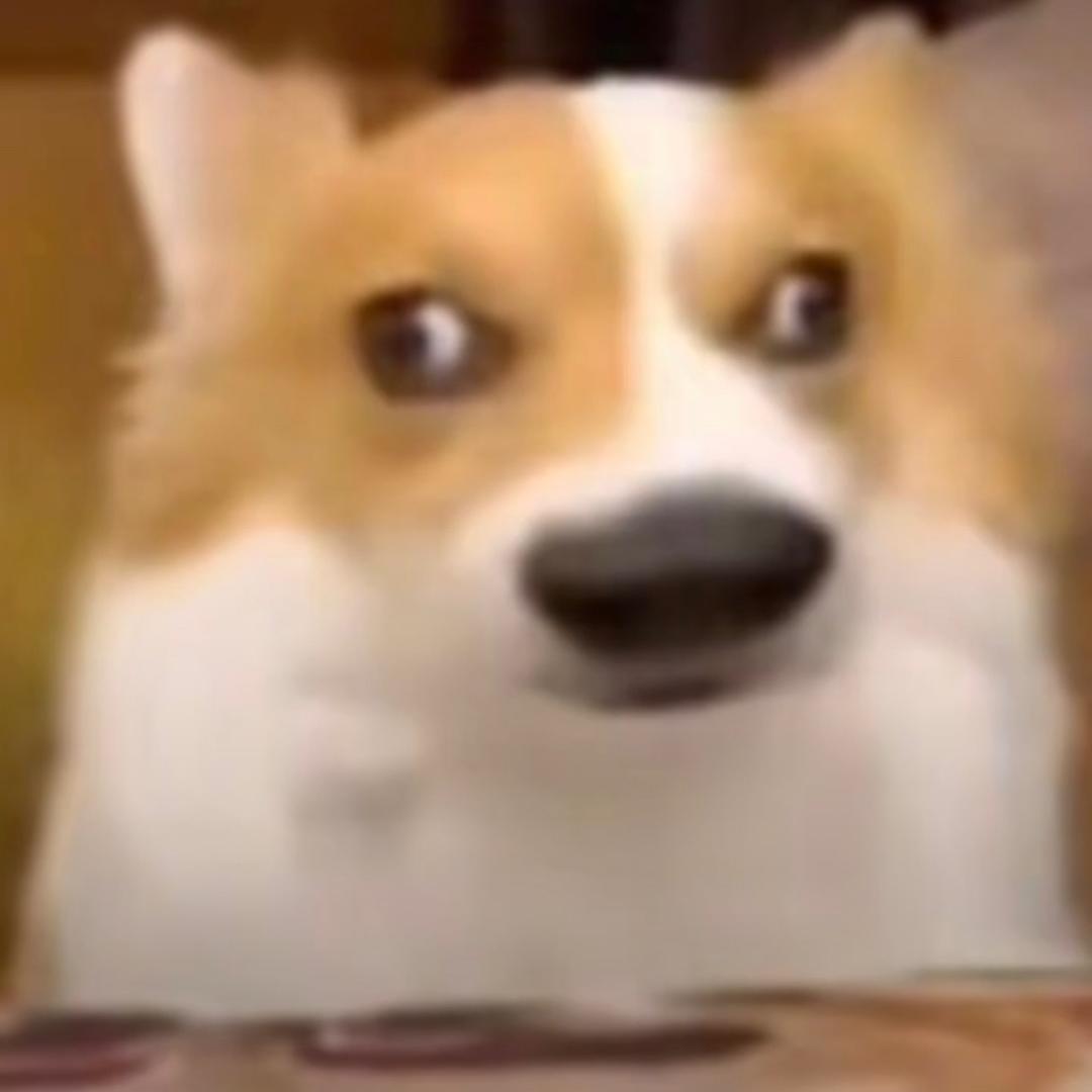 冷笑话