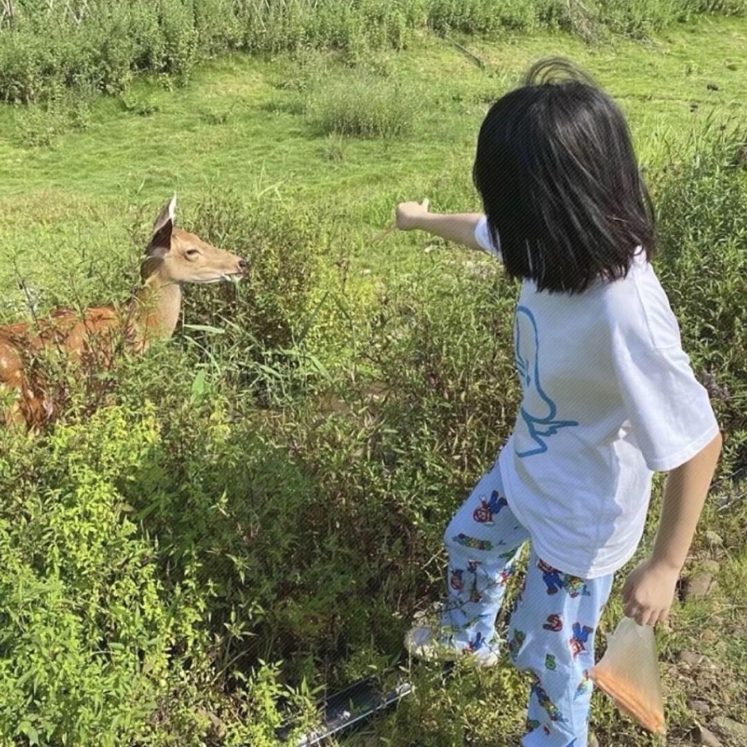 溯溯