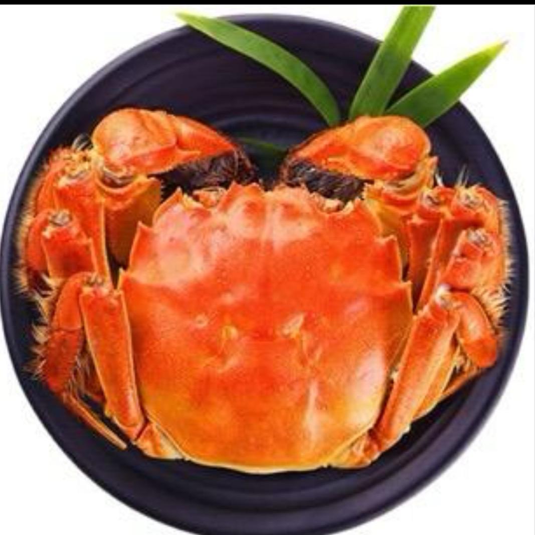 蟹秋皇佳昊水产专卖店