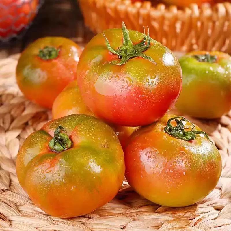 草莓西红柿小时候味道