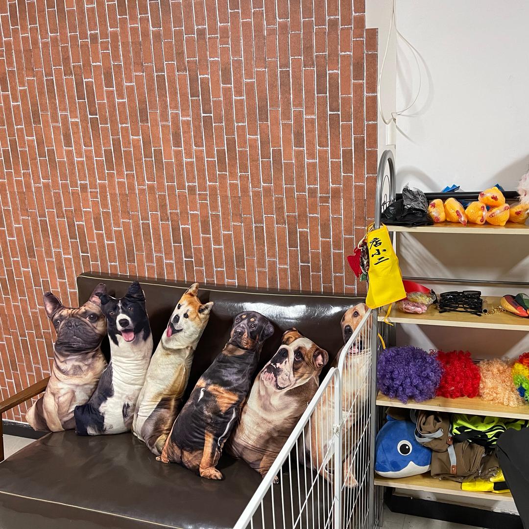 杰臣宠粮办公室