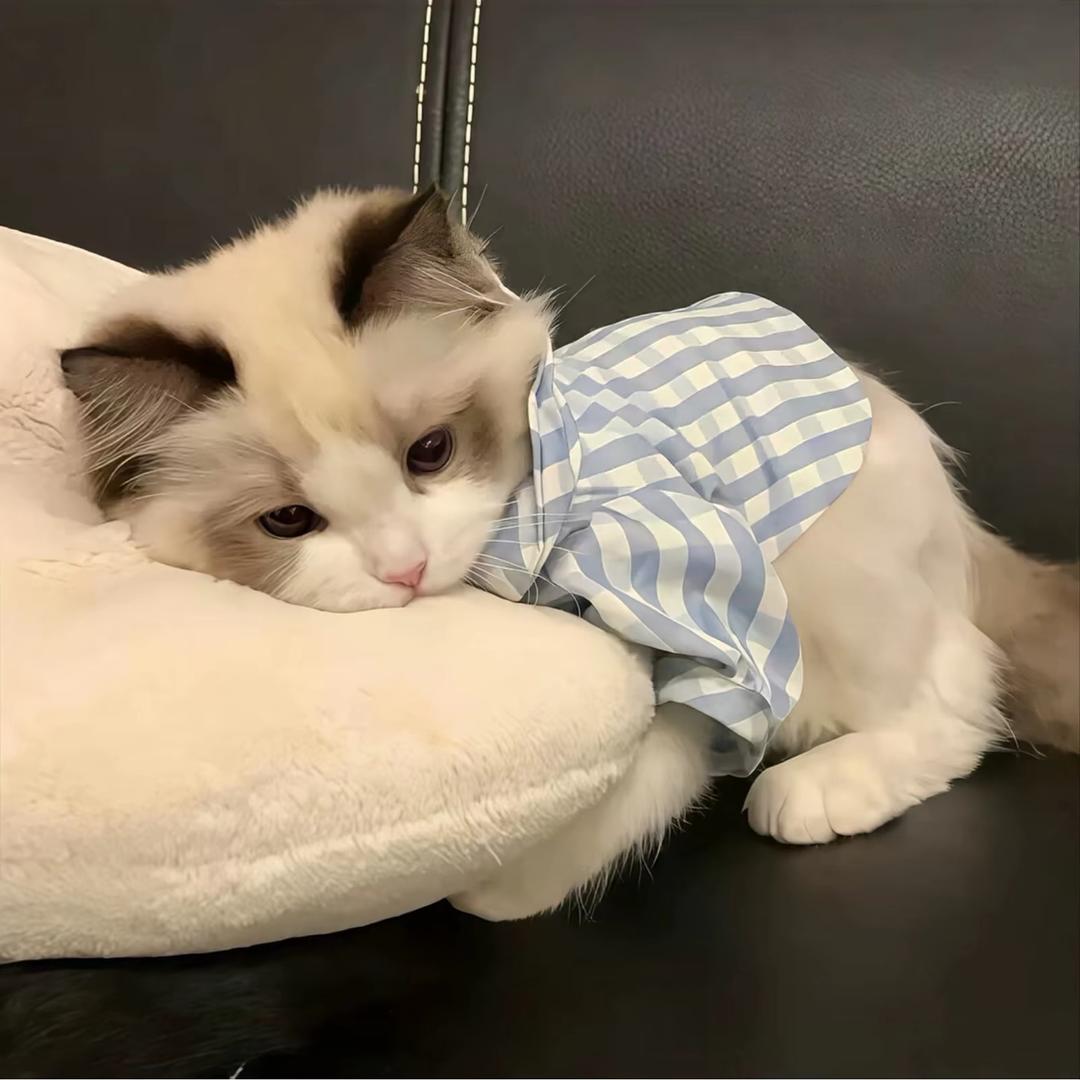 🦴