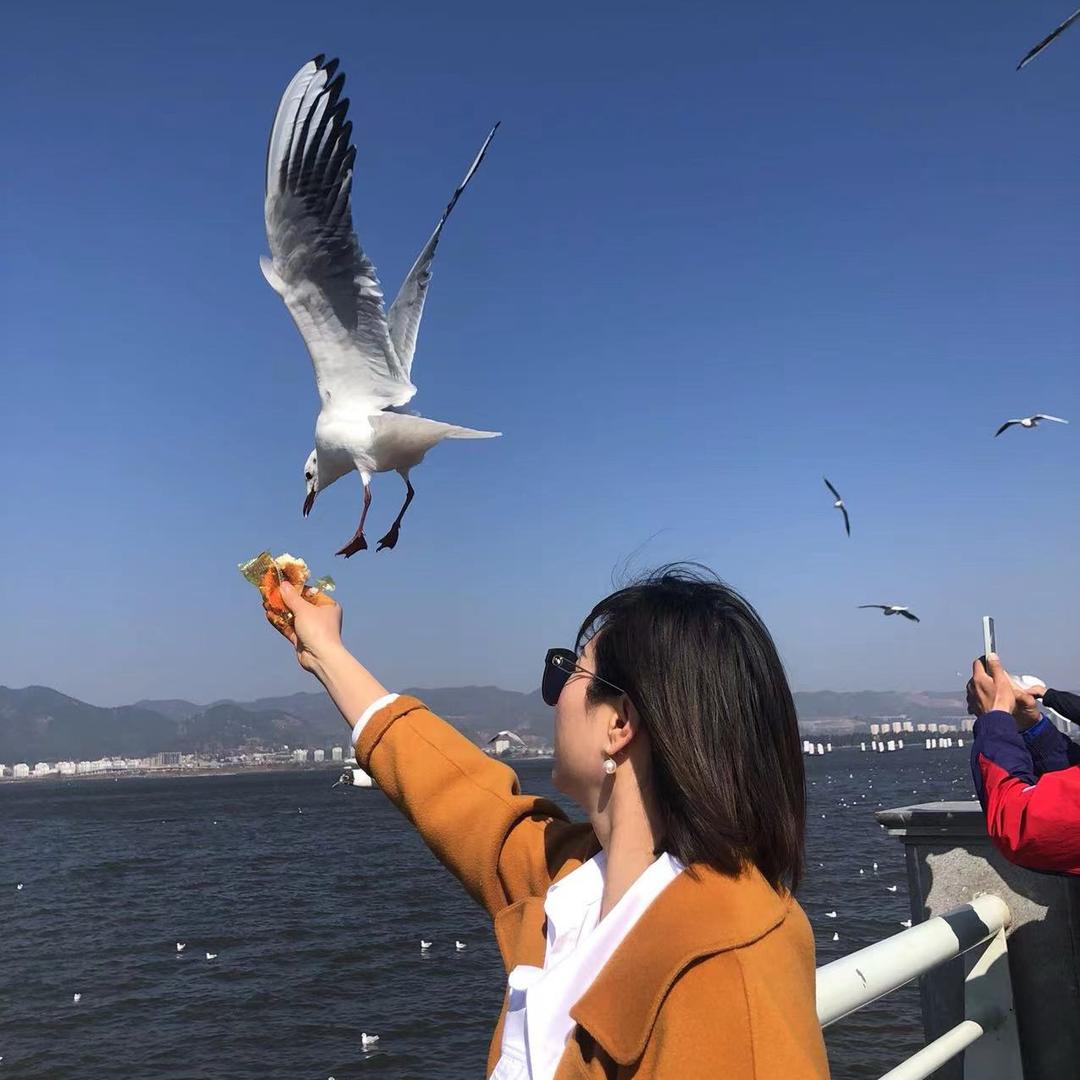 英子姐