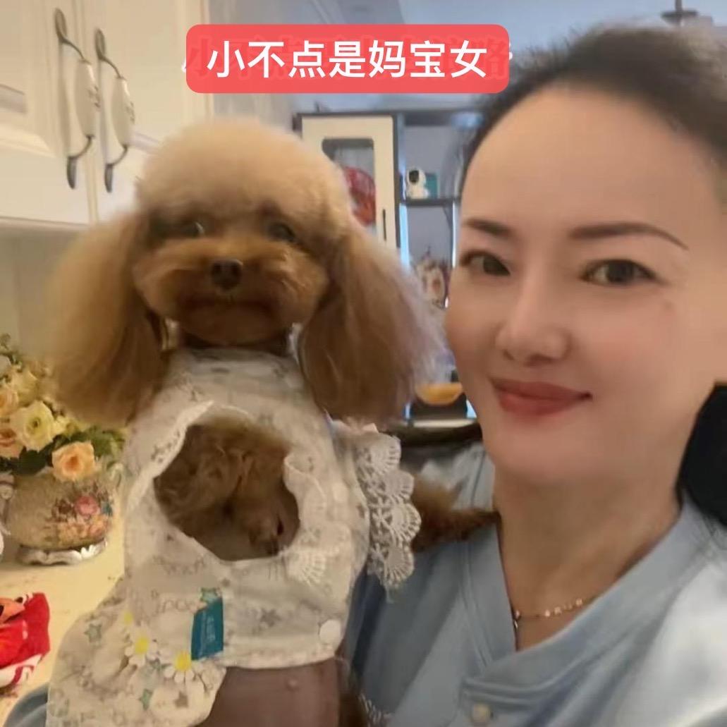 小不点（橱窗好物分享）