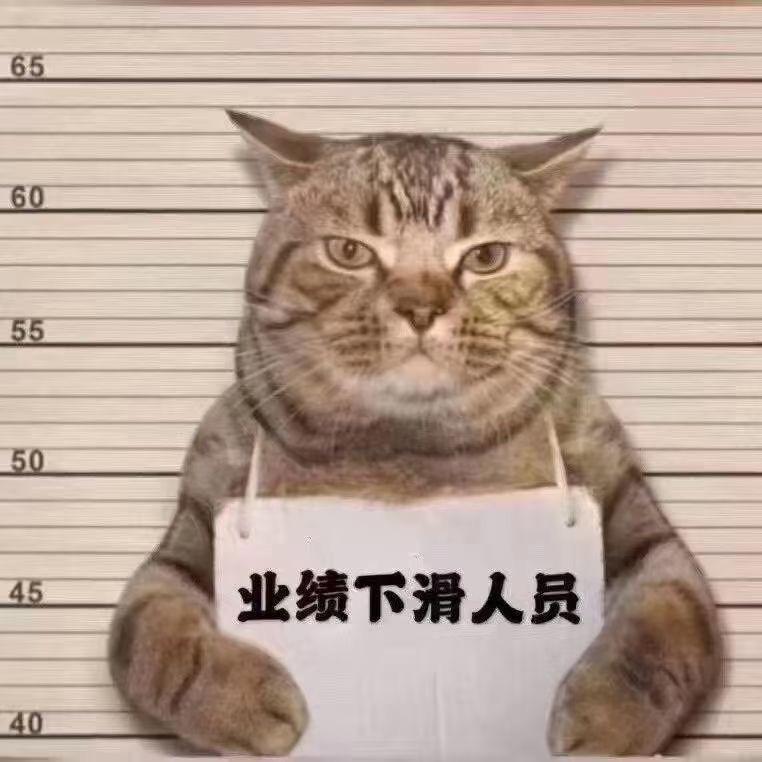 小利很不高兴为您服务